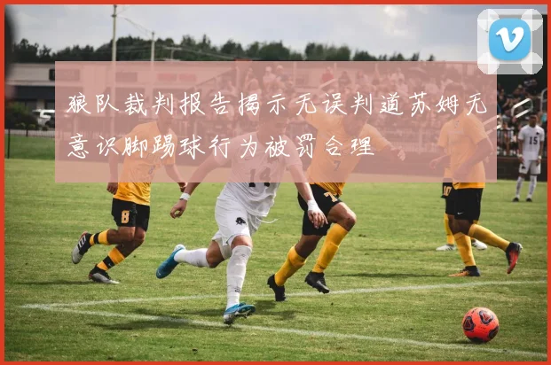 狼队裁判报告揭示无误判道苏姆无意识脚踢球行为被罚合理
