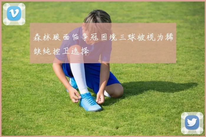 森林狼面临争冠困境三球被视为稀缺纯控卫选择