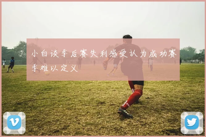 小白谈季后赛失利感受认为成功赛季难以定义