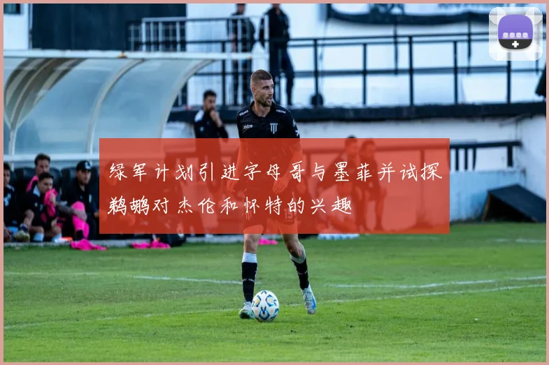 绿军计划引进字母哥与墨菲并试探鹈鹕对杰伦和怀特的兴趣